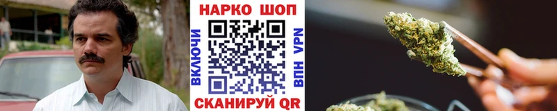 Где можно купить наркотики Пионерский ГАШ  OMG tor  Меф мяу мяу  A PVP  АМФ  Марихуана  КОКАИН 
