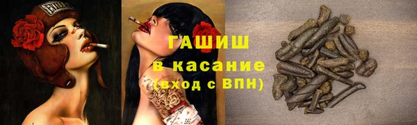 индика Богородск