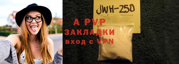 индика Богородск
