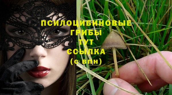 индика Богородск