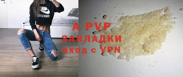 таблы Богданович