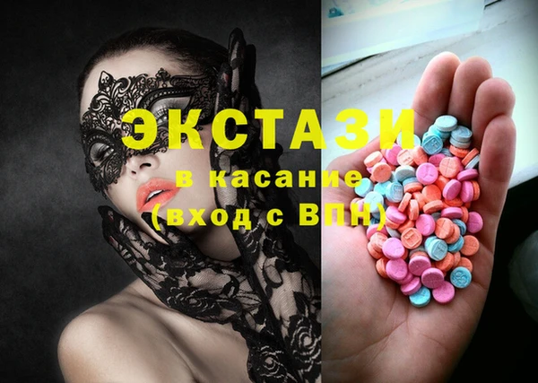 индика Богородск