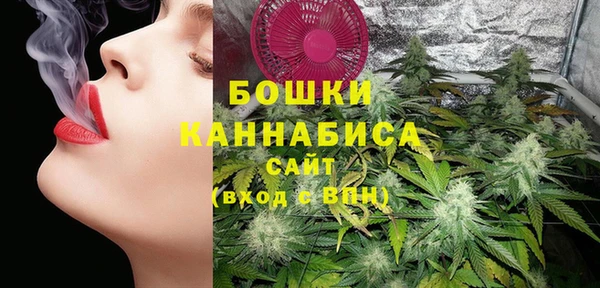 индика Богородск