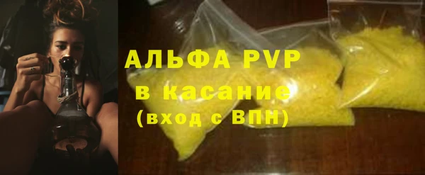 индика Богородск