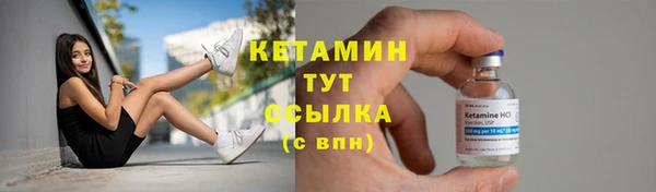 индика Богородск