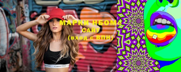 индика Богородск