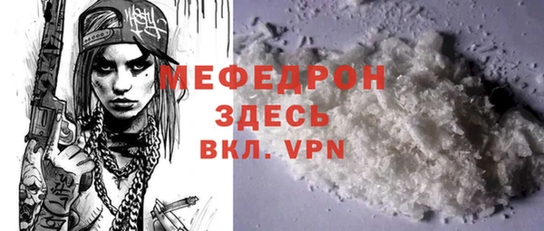 индика Богородск