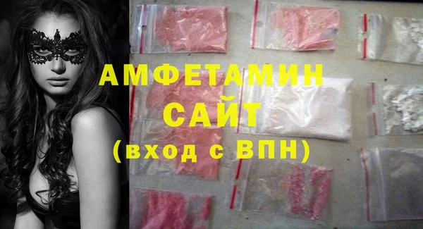 индика Богородск