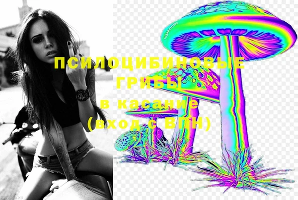 таблы Богданович