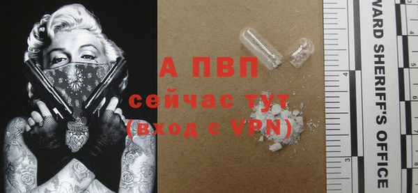 индика Богородск