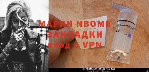 индика Богородск