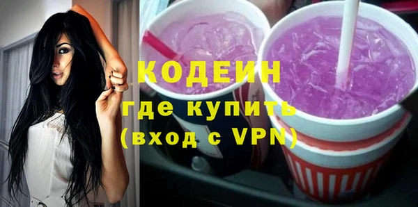 индика Богородск